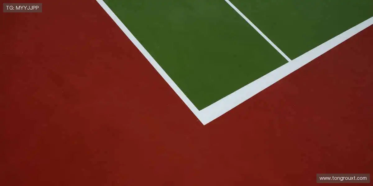 💬边看边聊,弹幕狂欢点燃观赛热情!🎉